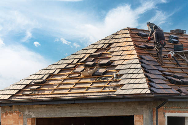 Best Roof Moss and Algae Removal  in Ben Avon, PA